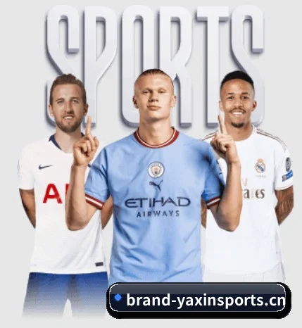 亚新体育 APP(yaxinsports)